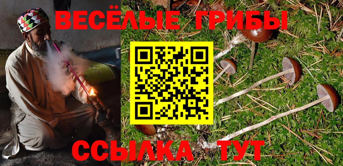 Псилоцибиновые грибы ЛСД Гурьевск